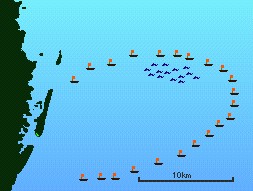Caccia tursiopi isole Solomon